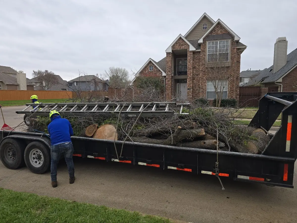 Expert Lot Clearing with proper safety equipment in Eden